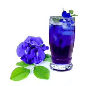 Butterfly pea (Clitoria ternatea)