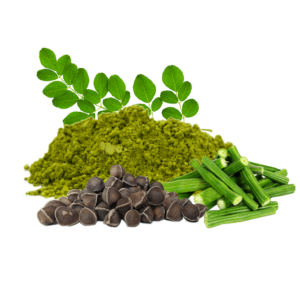 Moringa (Moringa oleifera)