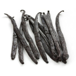 Vanilla (genus Vanilla)