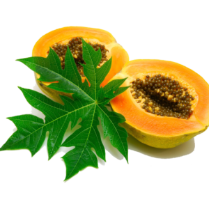 Papaya